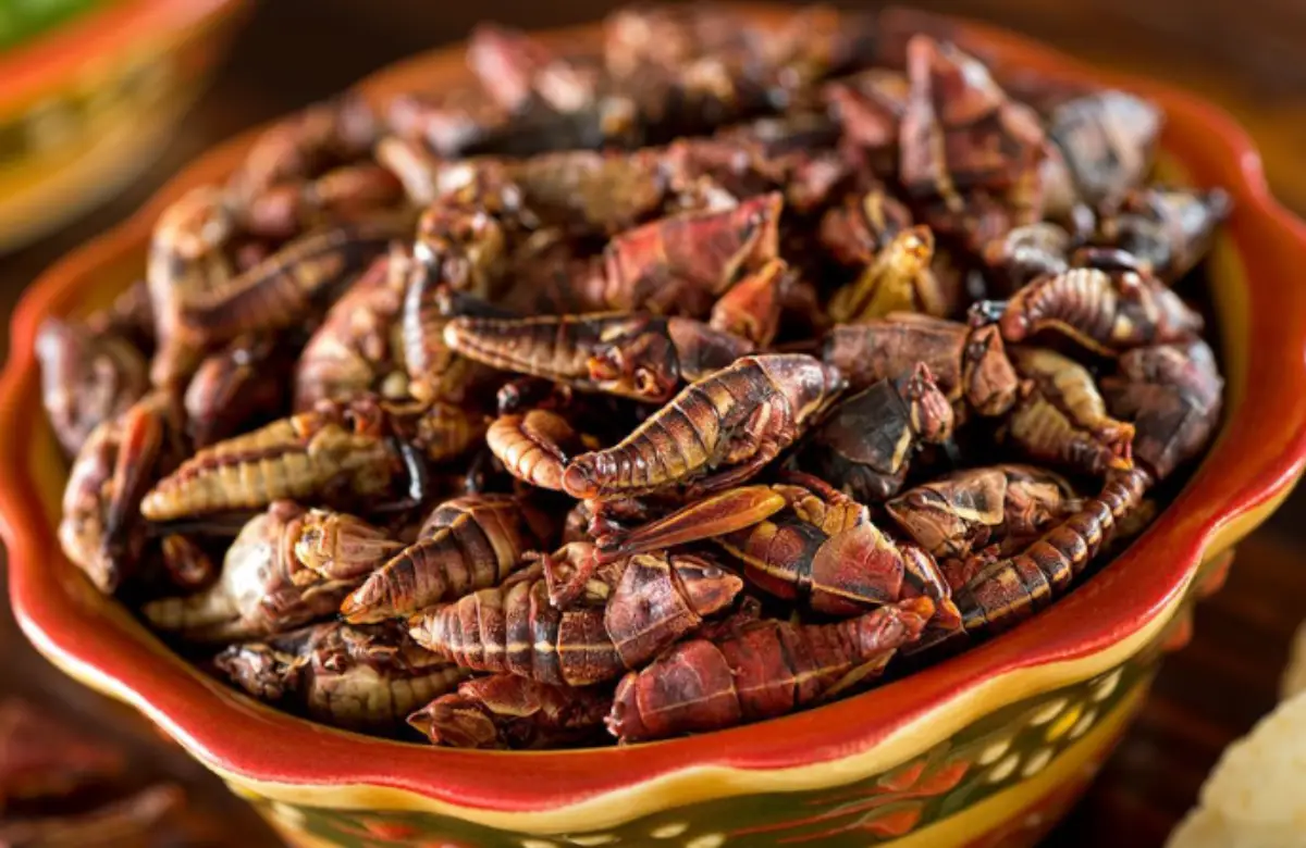 Chapulines (México)