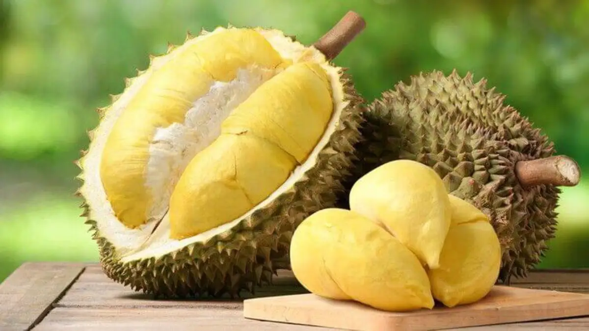 Durian (Sudeste Asiático)