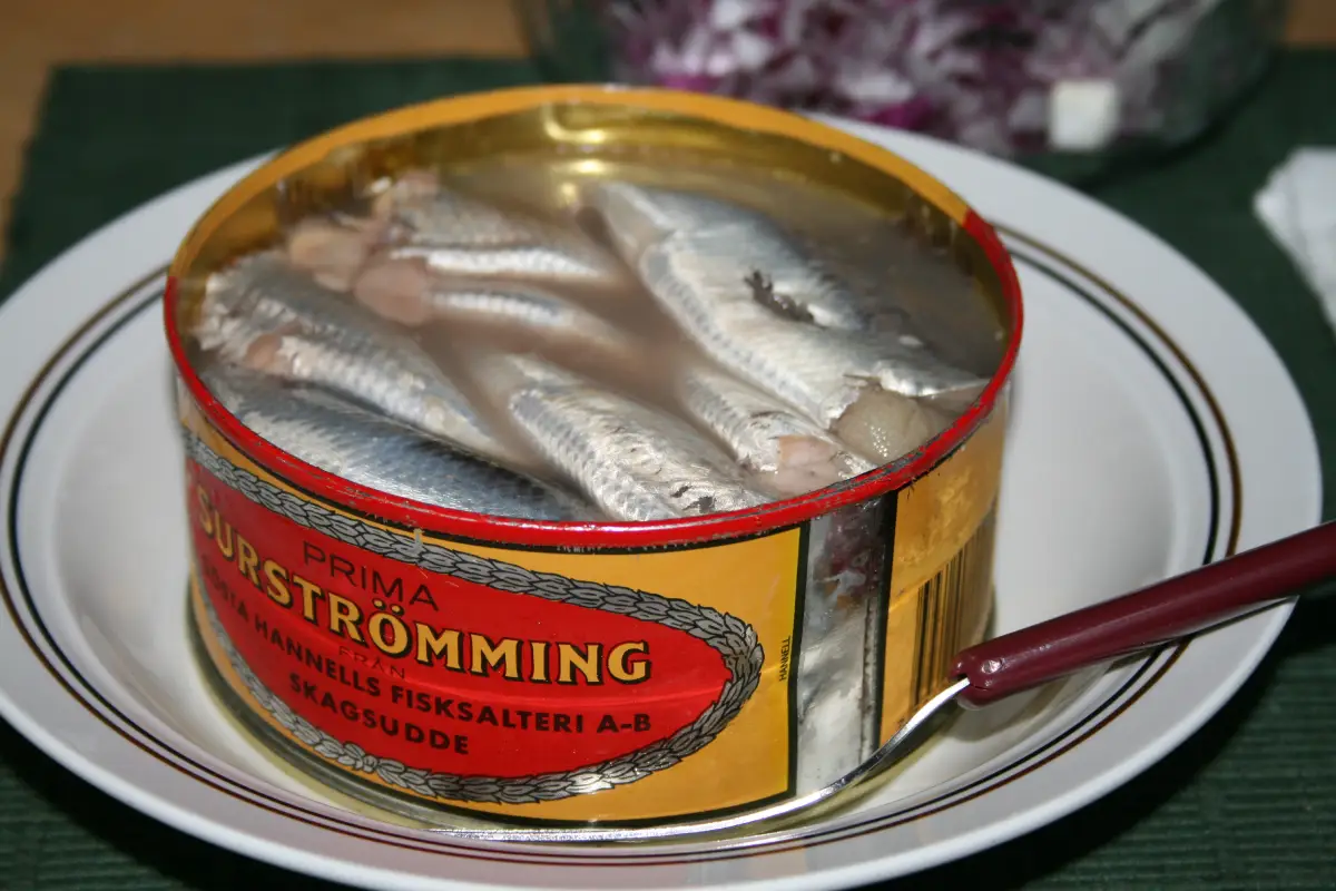 Surströmming (Suecia)