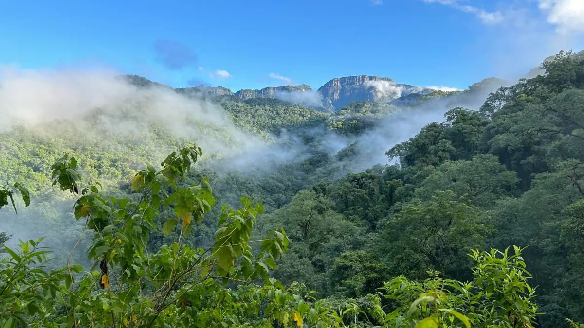 Montañas del Parque Nacional Calilegua