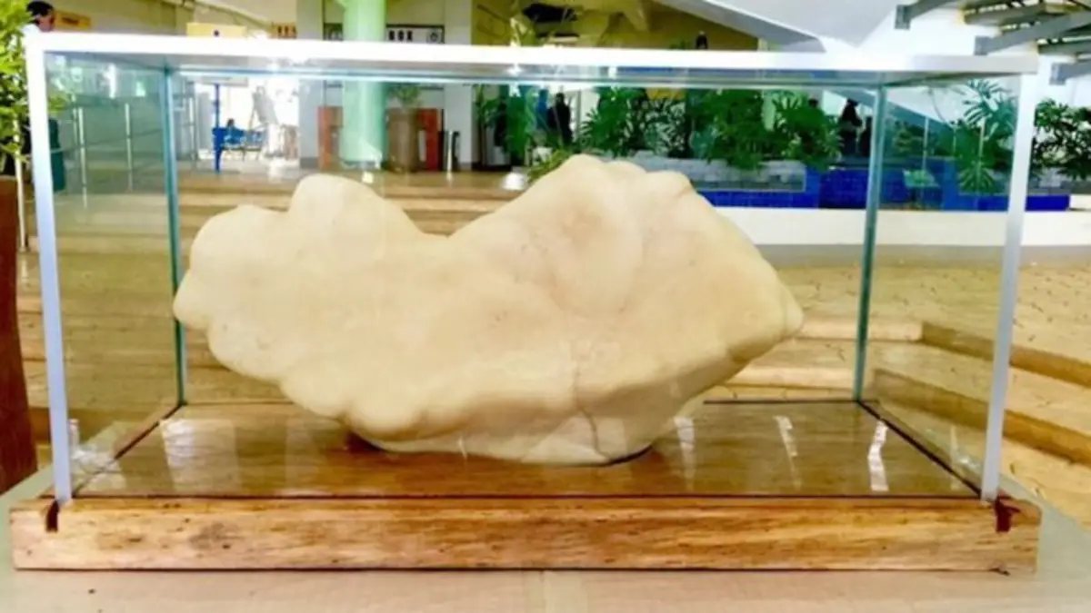 Perla de Puerto Princesa